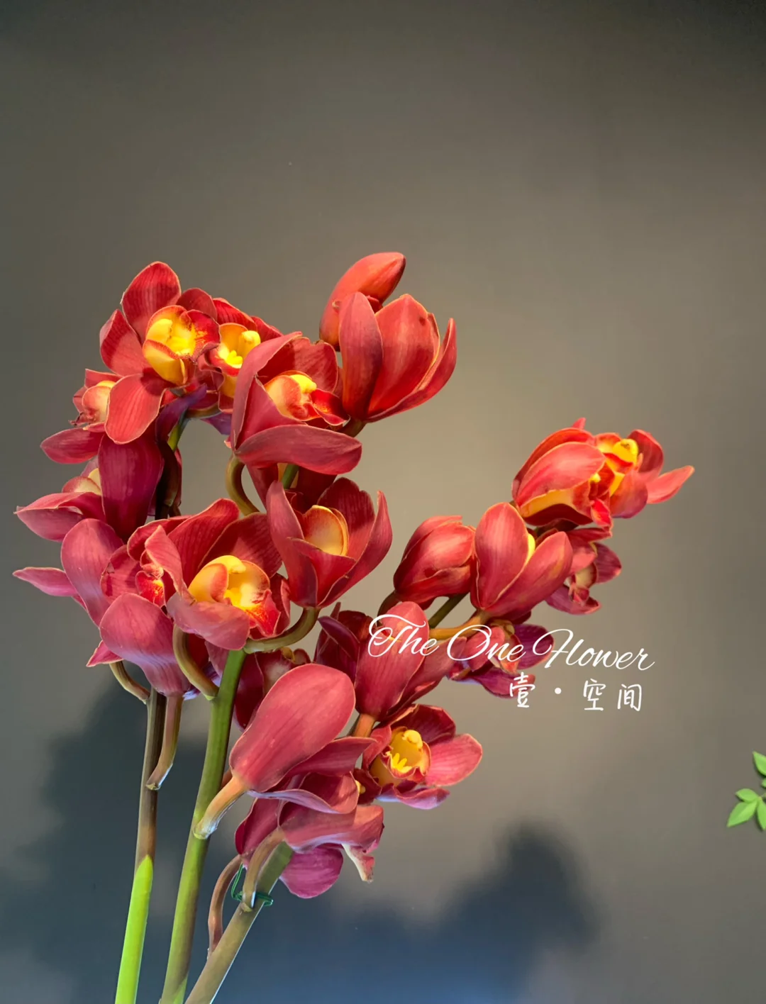 请问兰心蕙质什么意思